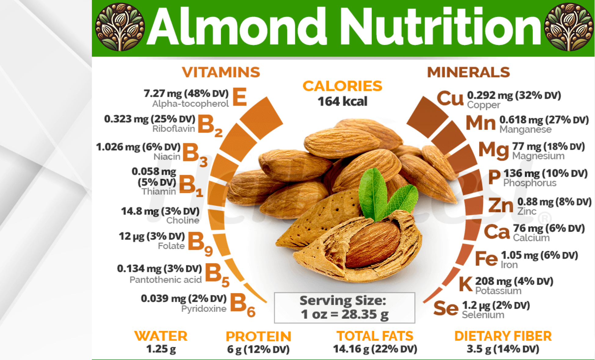 Jungle Kernels Signature Gold Almonds - Image 7