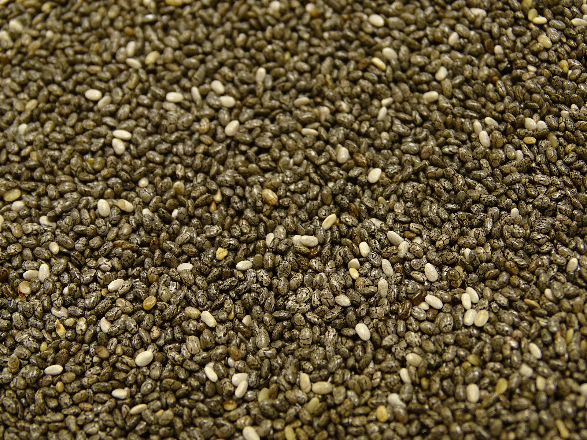 Jungle kernels Chia Seeds - Image 3