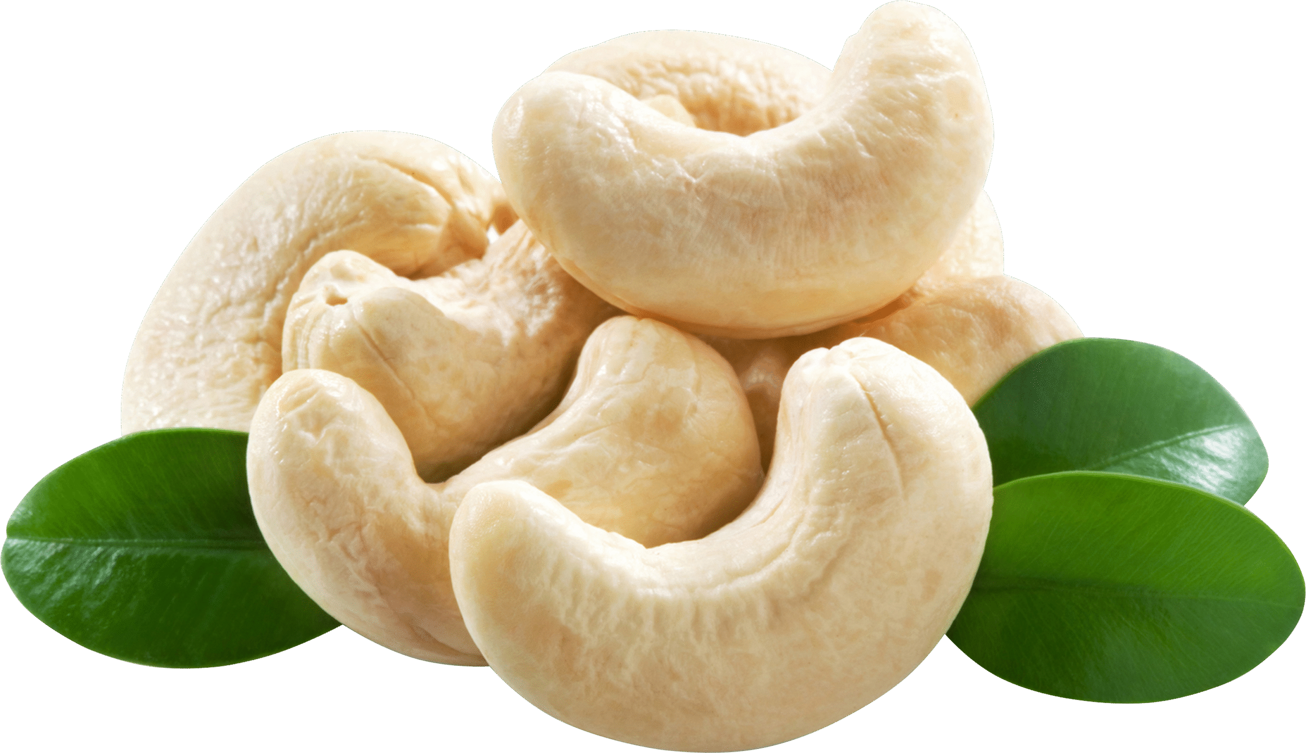 Jungle Kernels Premium Whole Cashews - Image 7