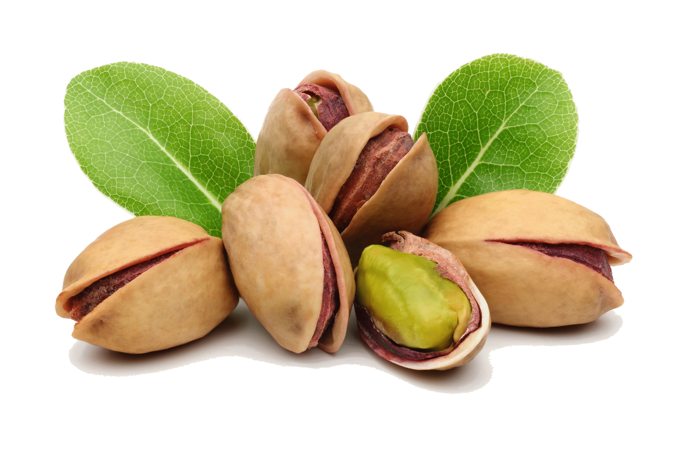 PISTACHIOS - Image 2