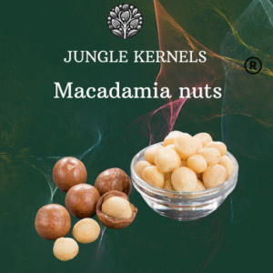 jungle kernels Macadamia nuts