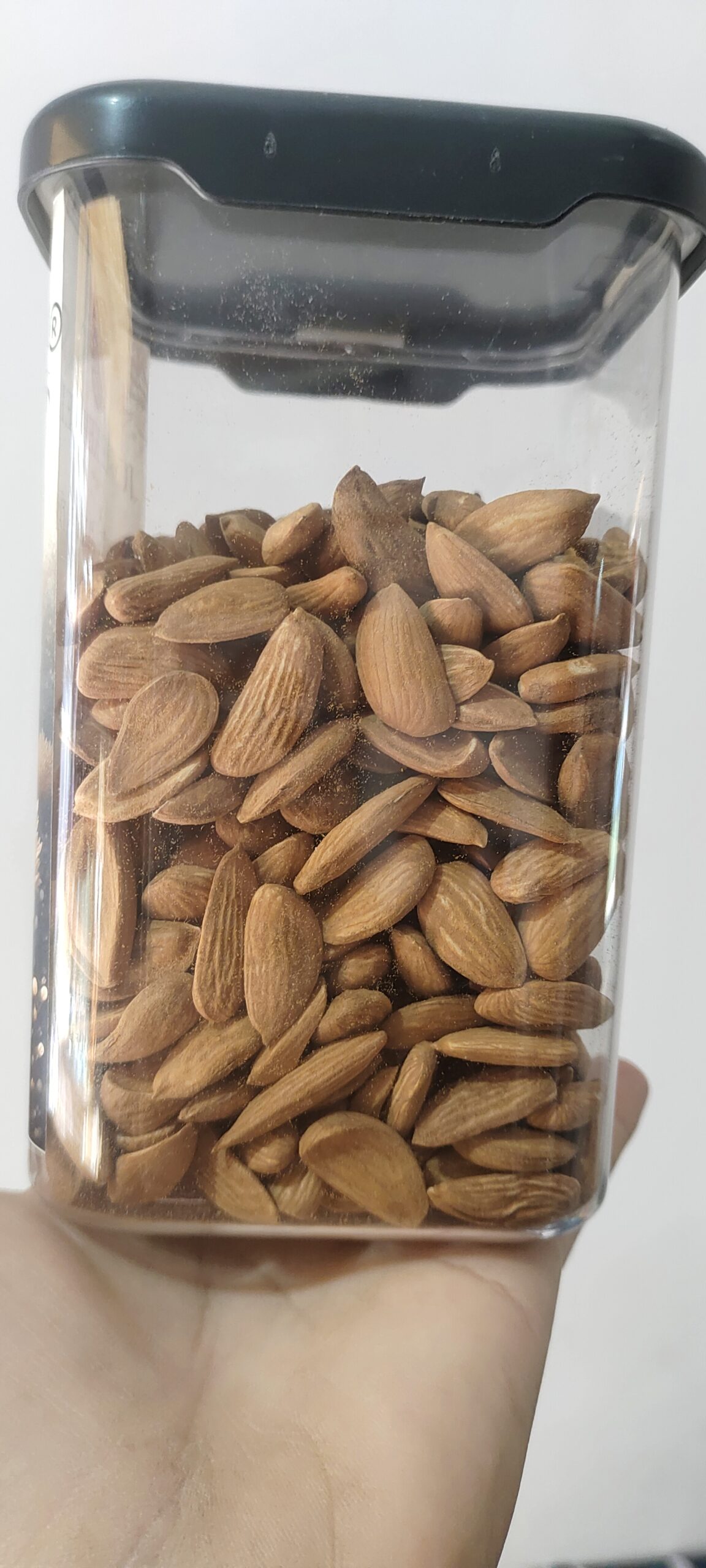 MAMRA ALMONDS ( Irani) - Image 3