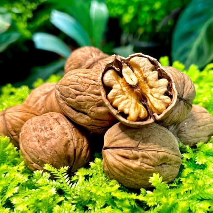 ROYAL WALNUTS - Image 7